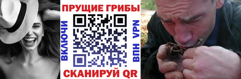 Псилоцибиновые грибы Psilocybe KRAKEN вход Чердынь